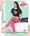 Vol Dk 103 Summer Special Hosiery Cotton Night Suits Wholesale Shop In Surat
